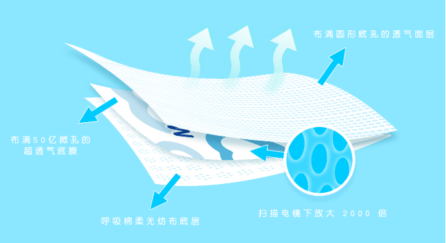泰迪熊纸尿裤